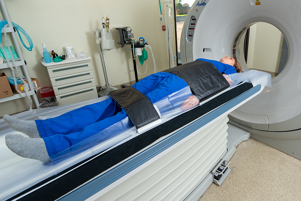 A patient getting a CT scan with a security strap ensuring she doesnt fall off table